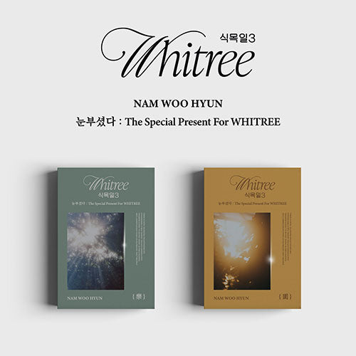 NAM WOO HYUN THE SPECIAL PRESENT FOR WHITREE