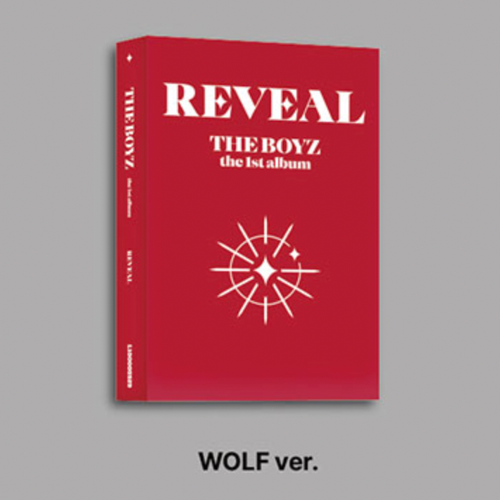 THE BOYZ 1ST ALBUM - REVEAL (PLATFORM VER.)