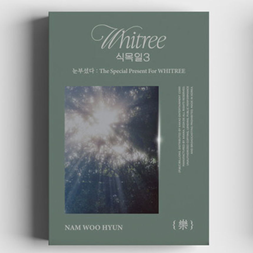 NAM WOO HYUN THE SPECIAL PRESENT FOR WHITREE