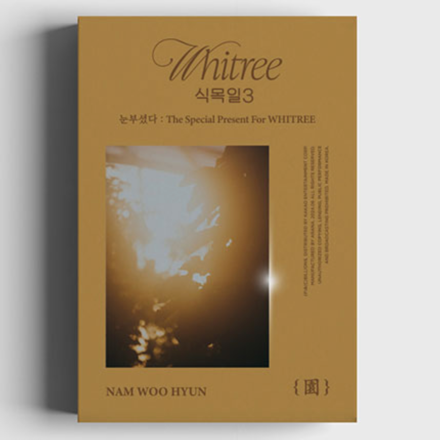 NAM WOO HYUN THE SPECIAL PRESENT FOR WHITREE