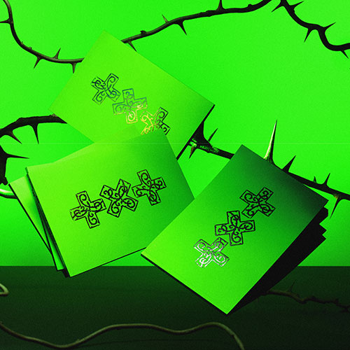 TXT 8TH MINI ALBUM - 7TH YEAR: WHEN THE WIND BRIEFLY STOPPED IN THE THORN BUSH (THORN VER.) + APPLEMUSIC PHOTOCARD (PRE-ORDER)