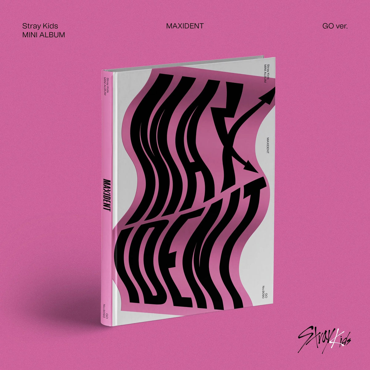 STRAY KIDS MINI ALBUM - MAXIDENT (US VER.) – SubK Shop
