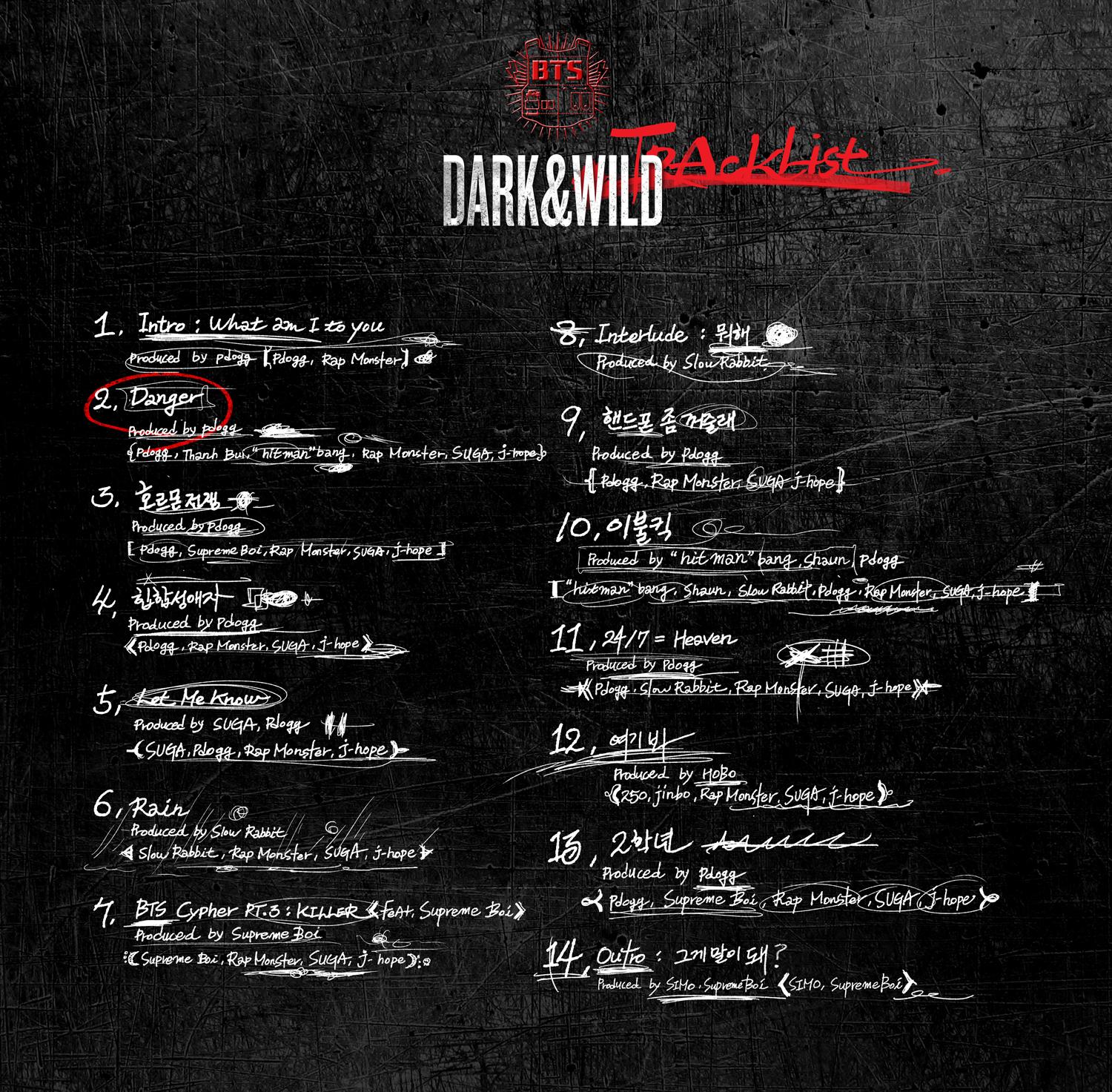 BTS 1ST FULL ALBUM - DARK & WILD