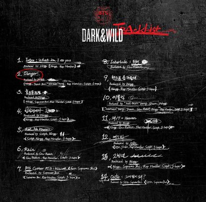 BTS 1ST FULL ALBUM - DARK & WILD